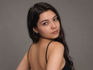 SophieShark